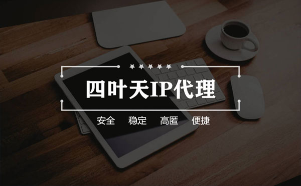 【乐清代理IP】如何快速搭建代理IP？怎么检查代理的效果？